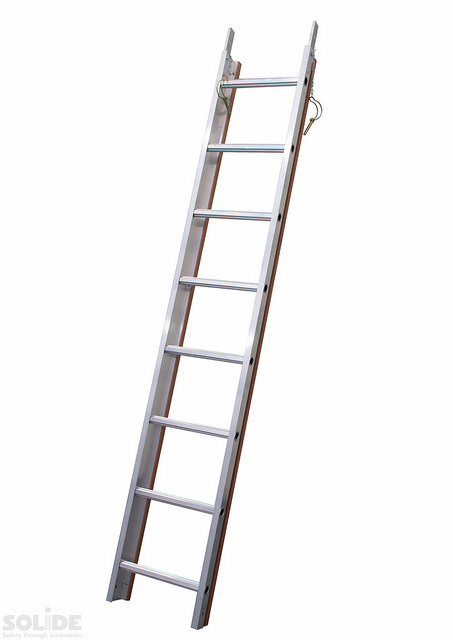 Dak ladder