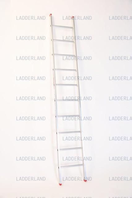 eco ladder